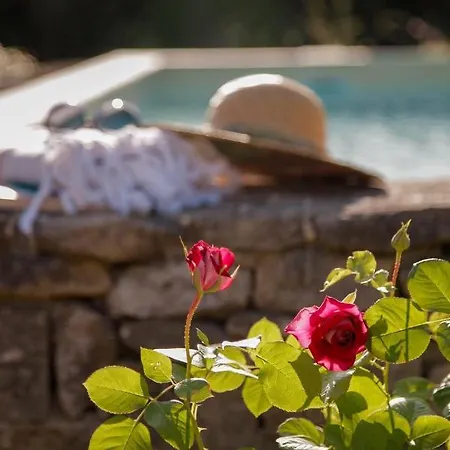 La Figue Noire Bed & Breakfast 2*